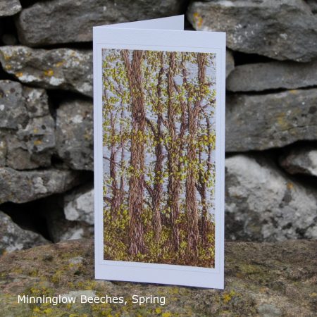 Minninglow Beeches, Spring - Single Fine Art Greeting Card