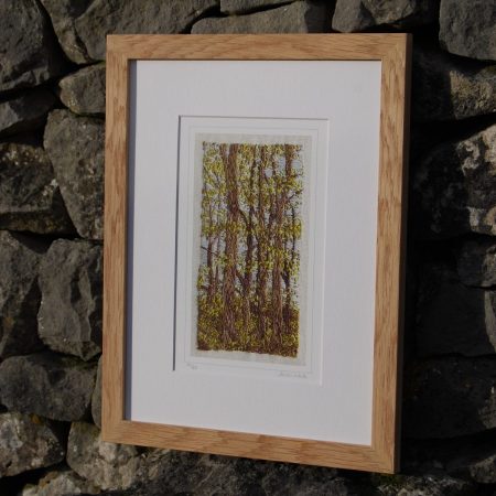 Minninglow Beeches, Spring - limited edition print