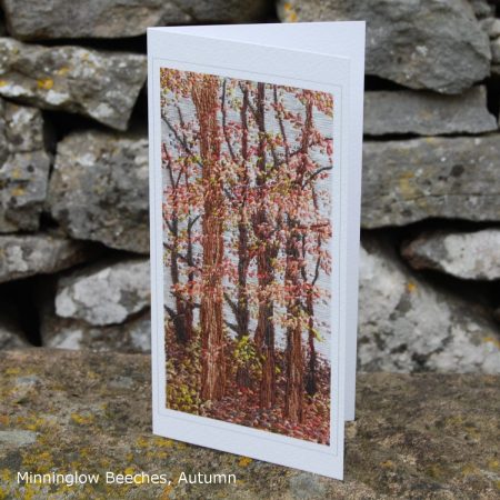 Minninglow Beeches, Autumn - Single Fine Art Greeting Card