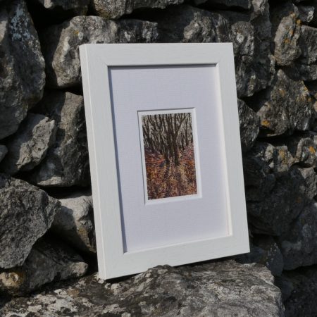 Winter Shadows in Grin Low Woods - ACEO print