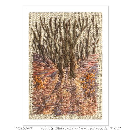 Winter Shadows in Grin Low Woods - Single Fine Art Greeting Card