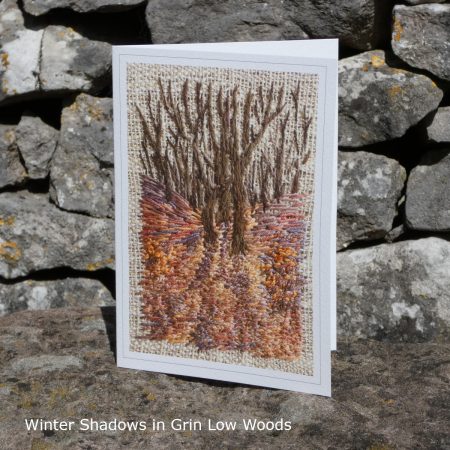 Winter Shadows in Grin Low Woods - Single Fine Art Greeting Card
