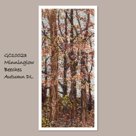 Minninglow Beeches, Autumn - Single Fine Art Greeting Card