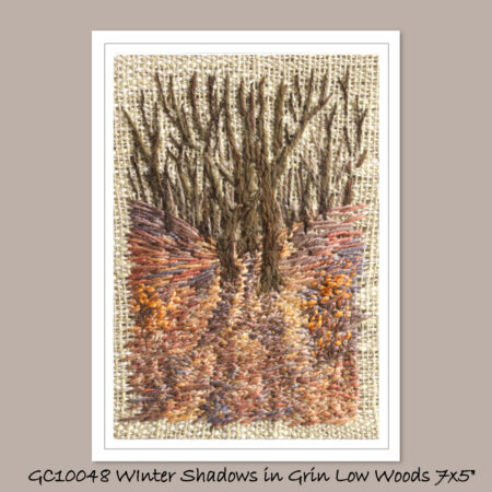 Winter Shadows in Grin Low Woods - Single Fine Art Greeting Card