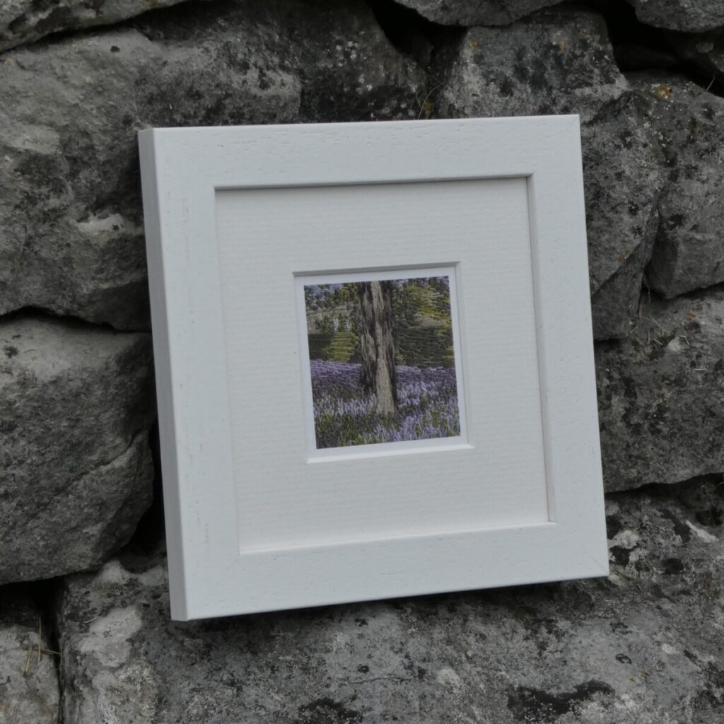 Bluebells Outbackl -ACEO print