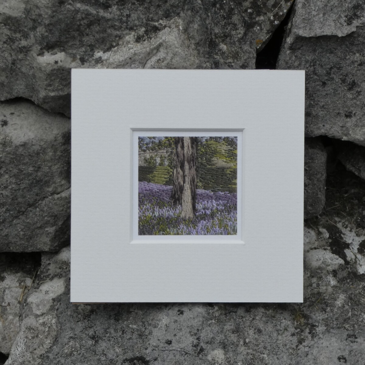 Bluebells Outbackl -ACEO print - Image 6