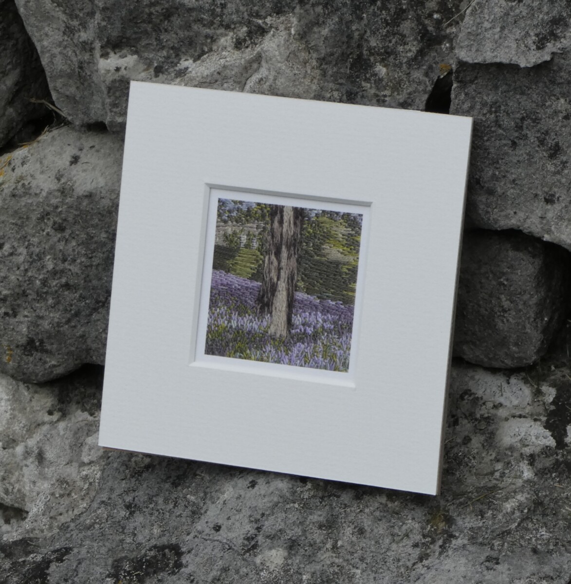 Bluebells Outbackl -ACEO print - Image 7