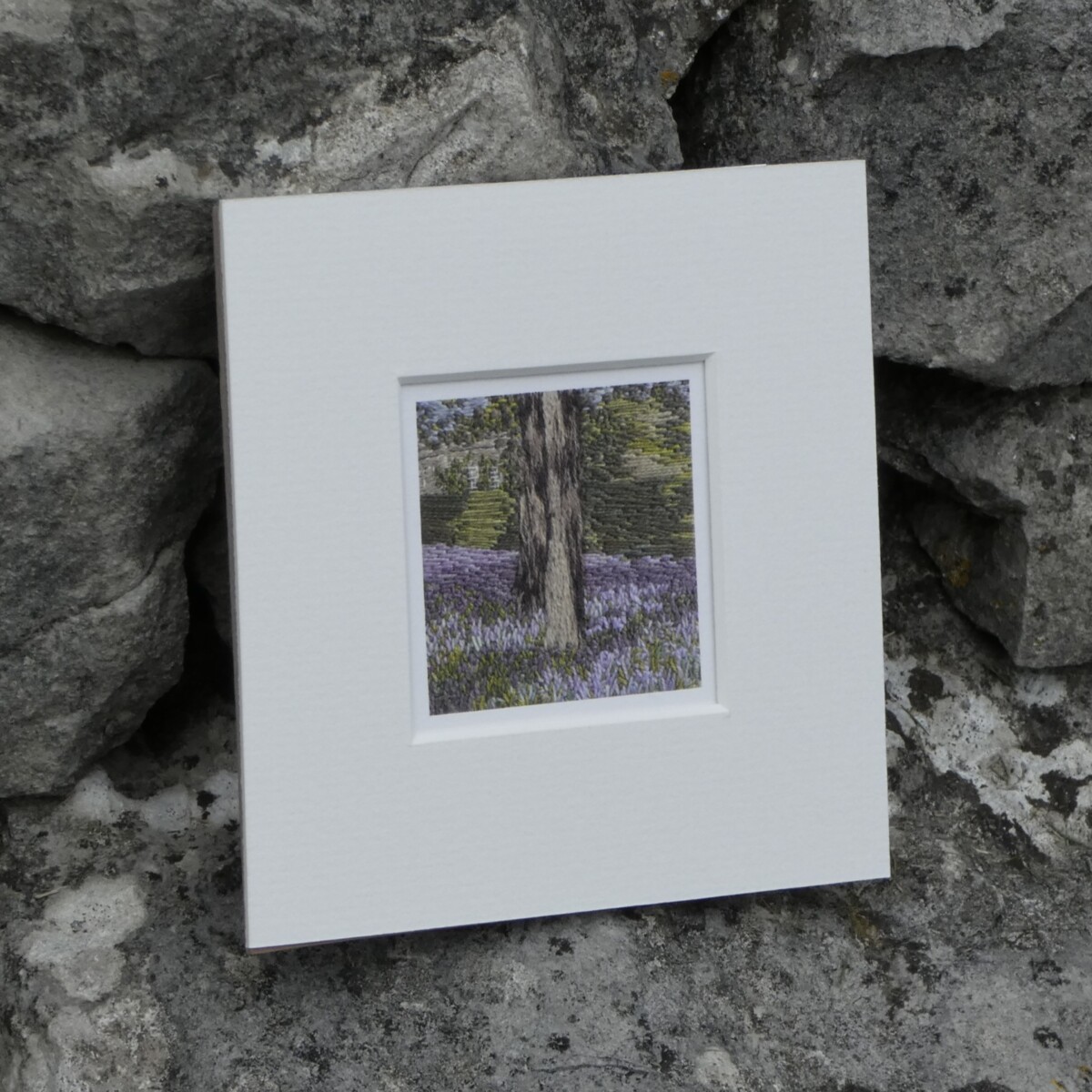 Bluebells Outbackl -ACEO print - Image 8