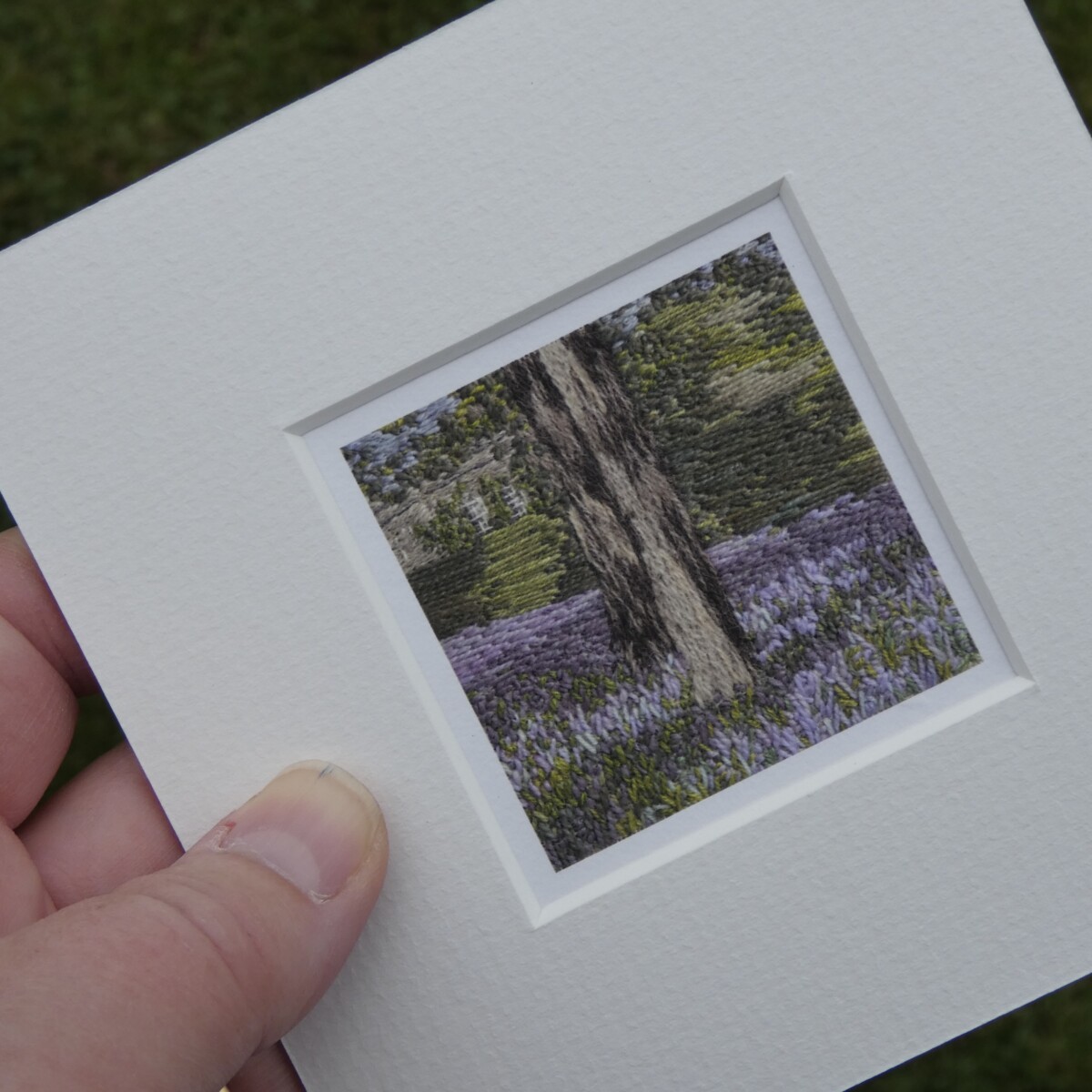 Bluebells Outbackl -ACEO print - Image 9